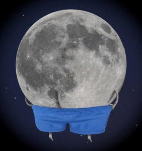 image.jpeg