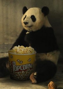 panda.jpg