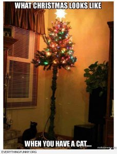 cat funnie Christmas tree with cat.jpg
