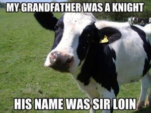 cow sir loin.jpg