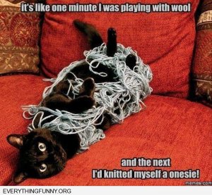 cat funnies knit onesie.jpg