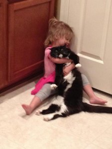 funny-cat-angry-girl-enough-hug.jpg