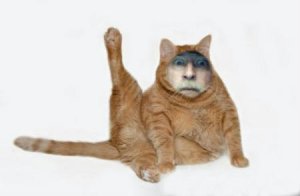 Me-as-Cat.jpg Me-as-Cat.jpg