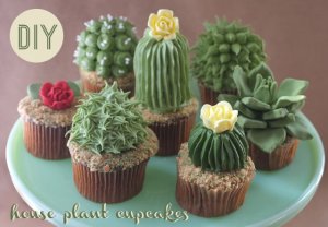 houseplantcupcakesdiylead1.jpg