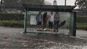 Shelter in a storm.JPG