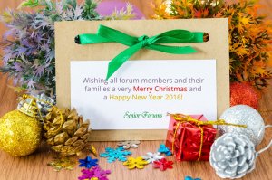 holiday card.jpg holiday card.jpg