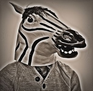 Zebra @.jpg