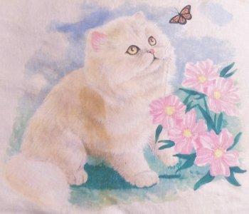 white persian & butterfly.jpg white persian & butterfly.jpg