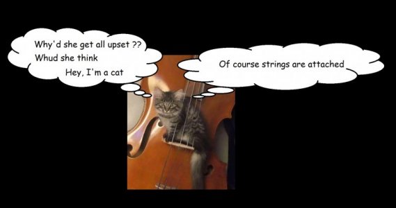 caption.jpg2 fin.jpg