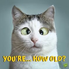 1faaffda279614906dd837d26a7b1e76[1].jpg