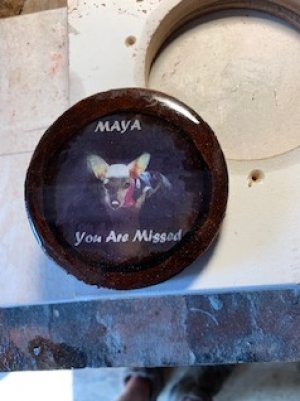 maya final.jpg