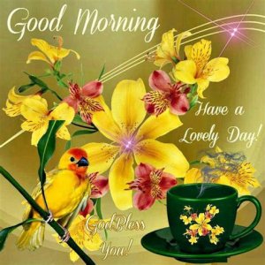 good morning5.jpeg good morning5.jpeg