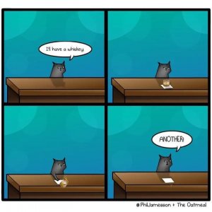 E32F88FC-0EB7-4F58-96AD-AF7EF88F8CE3.jpeg