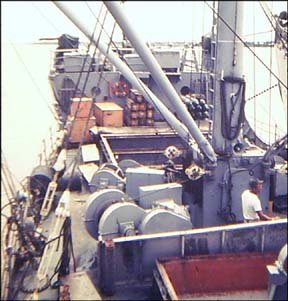 Shawver3.jpg