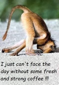 5923f0c68cf05dd9681728eb7a83e2bd[1].jpg