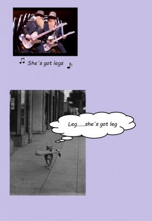 caption.jpg dog leg.jpg