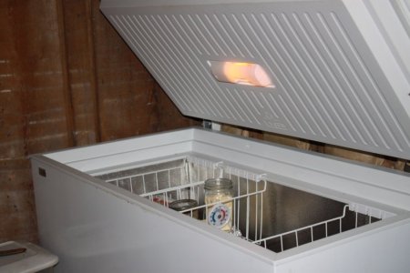 sundnz.JPG