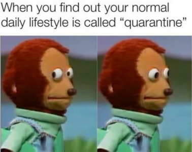 Best-funny-Coronavirus-memes-2020-Honeycombers-Bali-9.jpg