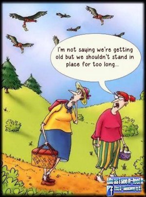 2525df9dd44420d9642225ea949ed7c2--buzzard-keep-moving.jpg