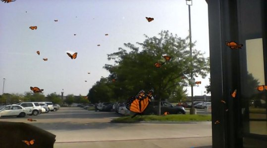 hyvee.JPG