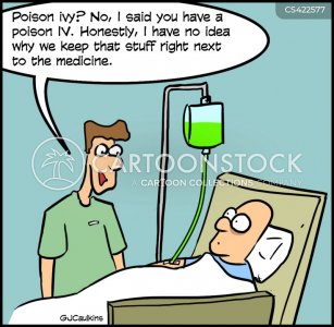 medical-poison_ivy-poisoned-iv-iv_therapy-intravenous_therapy-gcun199_low.jpg