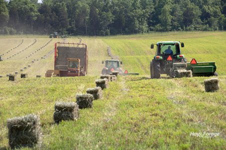 Haymaking.1.jpg