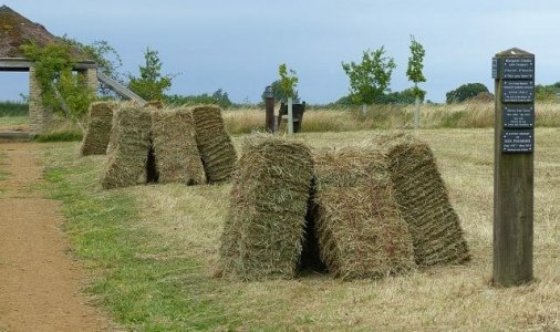 Haymaking.2.jpg