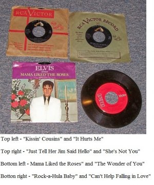 Elvis records.jpg