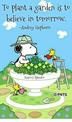 0657b81071f162cc0ac3c998b256136e[1].jpg
