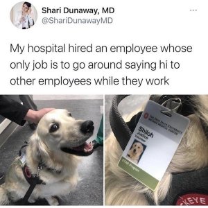 86468936[1].jpg