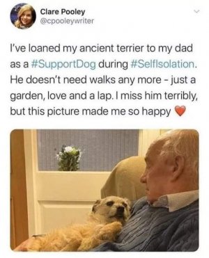 86468949[1].jpg