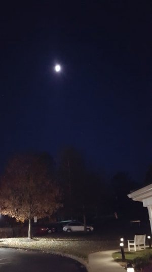 20191115_055320.jpg
