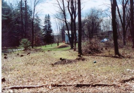 tornado19.jpg