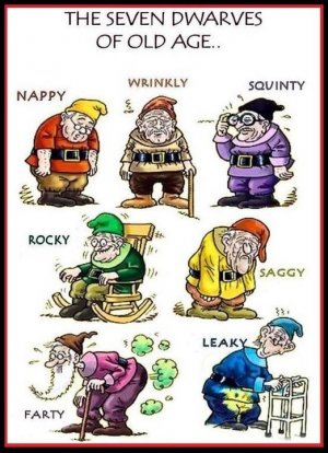 Old age.jpg