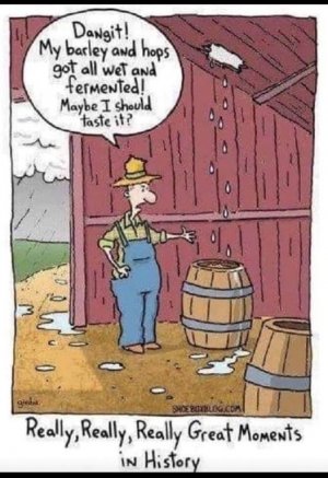 Barley hops.jpg