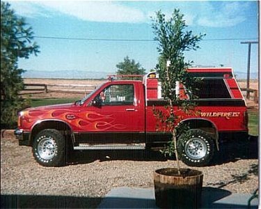 s-10.jpg