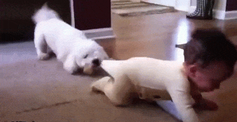 0_mandatory_gifs_of_the_week_2_1_18.gif