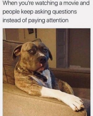 5B04ECB8-C062-40BE-A73A-D53B221F8FFA.jpeg