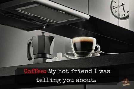 DB58557C-FD68-469C-96F8-FDE6BDEF2232.jpeg