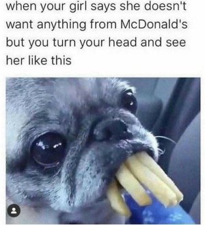 219696700_4235139359899587_7145361265142355109_n[1].jpg