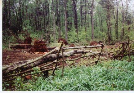 tornado2.jpg