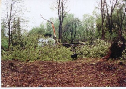 tornado3.jpg