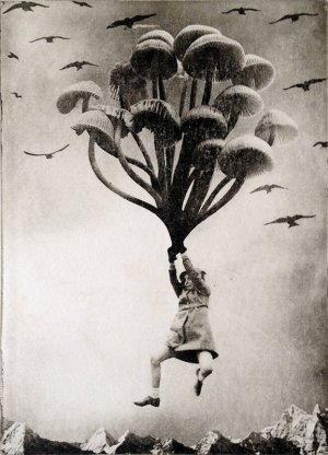 jaco-putker-mushrooms.jpg