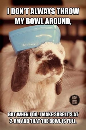 bowl.jpg
