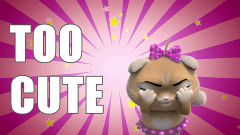giphy (1).gif