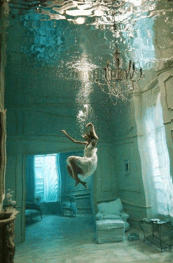 3047110795f46b22837732e22da9312e[1].gif