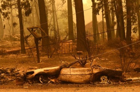 bushfire.jpg