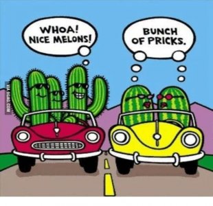 whoa-nice-melons-bunch-of-pricks-14322105 (1) (2).jpg