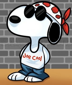 Joe cool.jpg