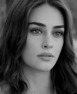 sad bw morn.jpg sad bw morn.jpg